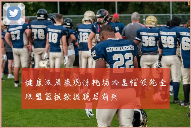 健康浓眉表现惊艳场均盖帽领跑全联盟篮板数据稳居前列