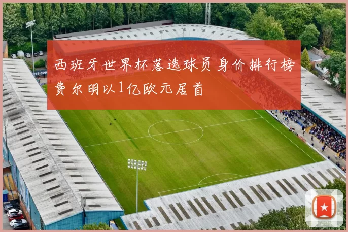 西班牙世界杯落选球员身价排行榜费尔明以1亿欧元居首